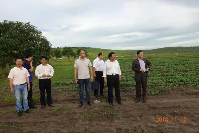 代表团与我院两位援非农业专家一起参观试验基地